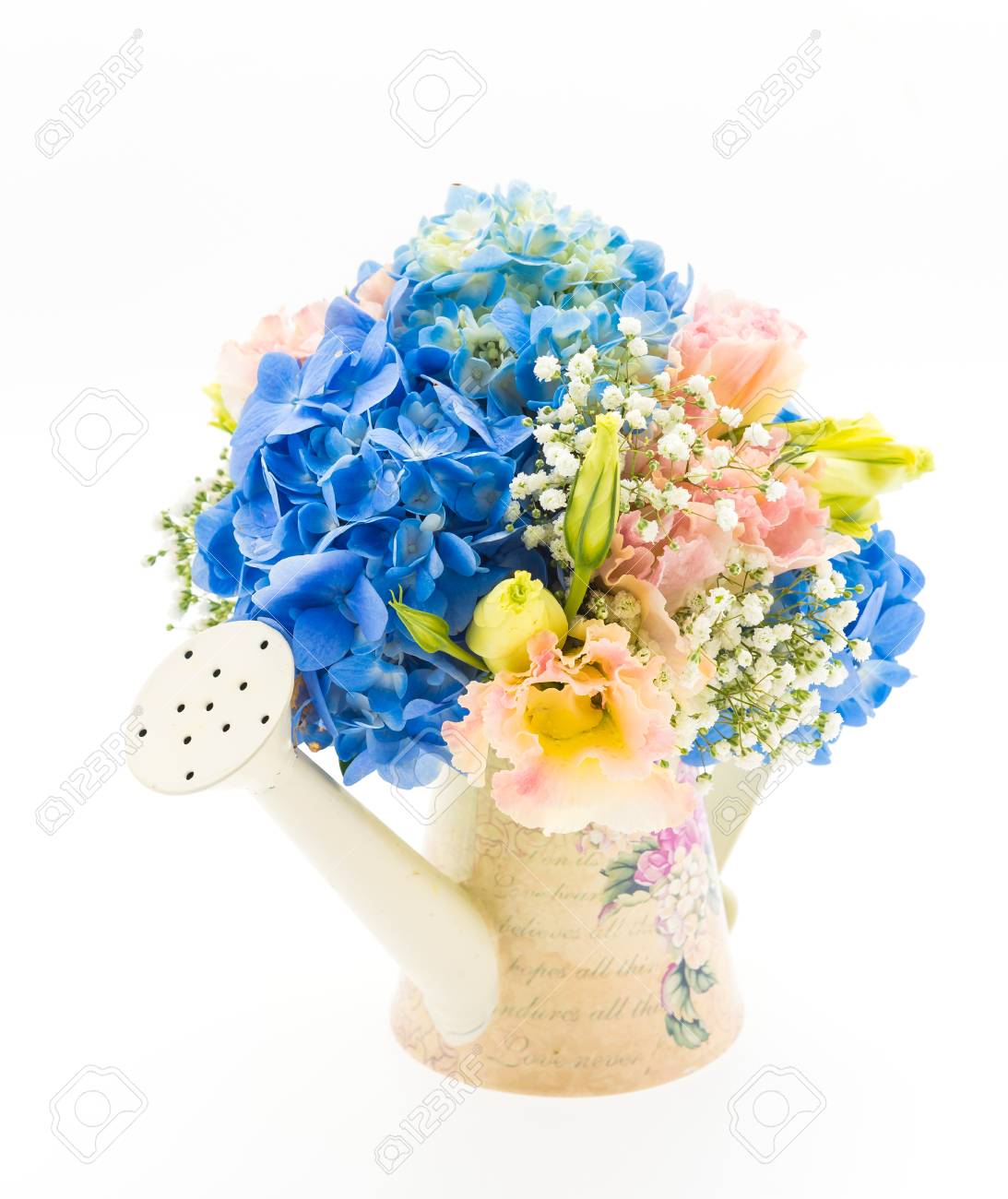 アジサイは 白で隔離お花の花束 の写真素材 画像素材 Image