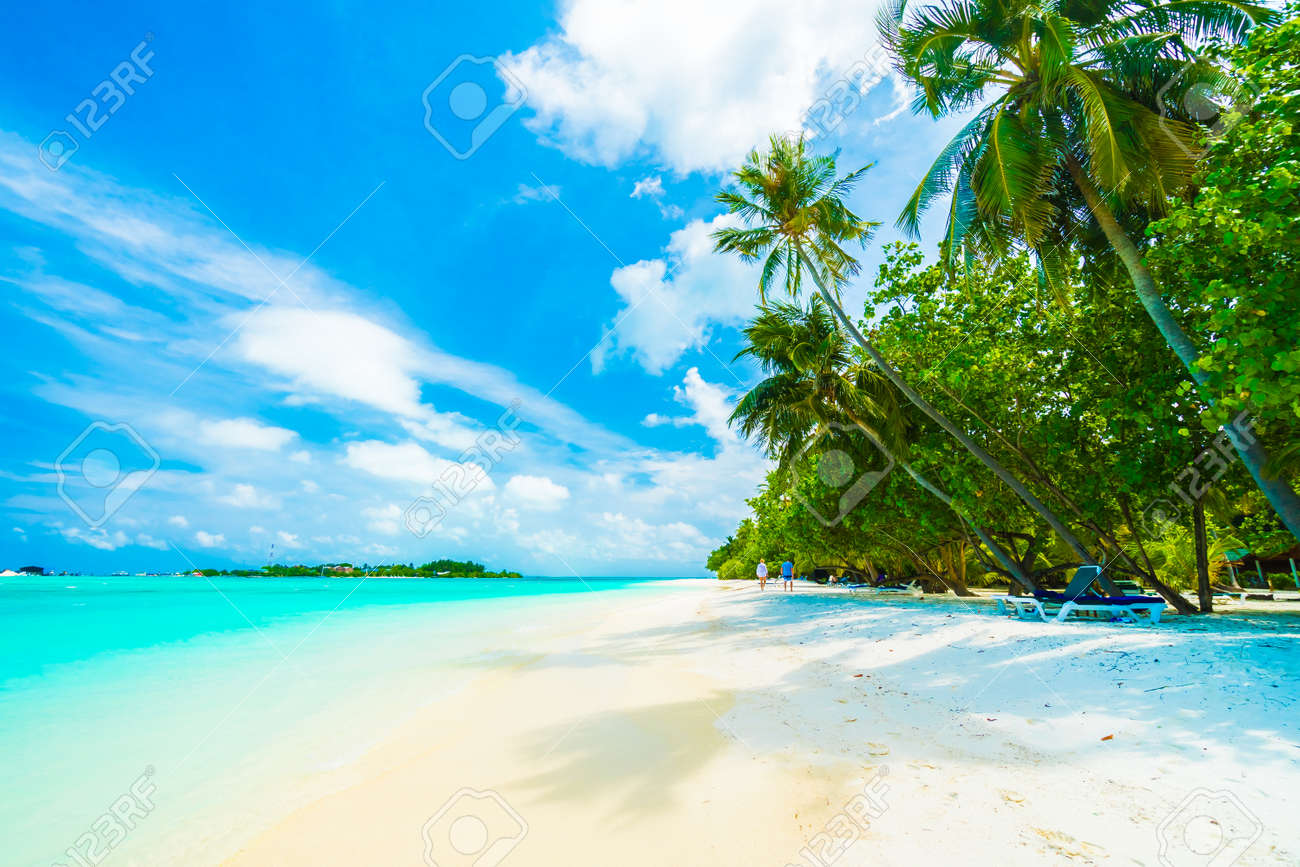 Belle Plage Tropicale Et La Mer Dans Lîle Maldives Avec Cocotier Et Fond De Ciel Bleu