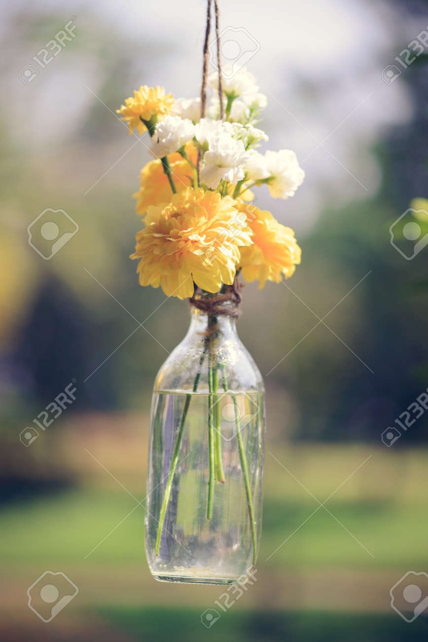 the marigold flowers in