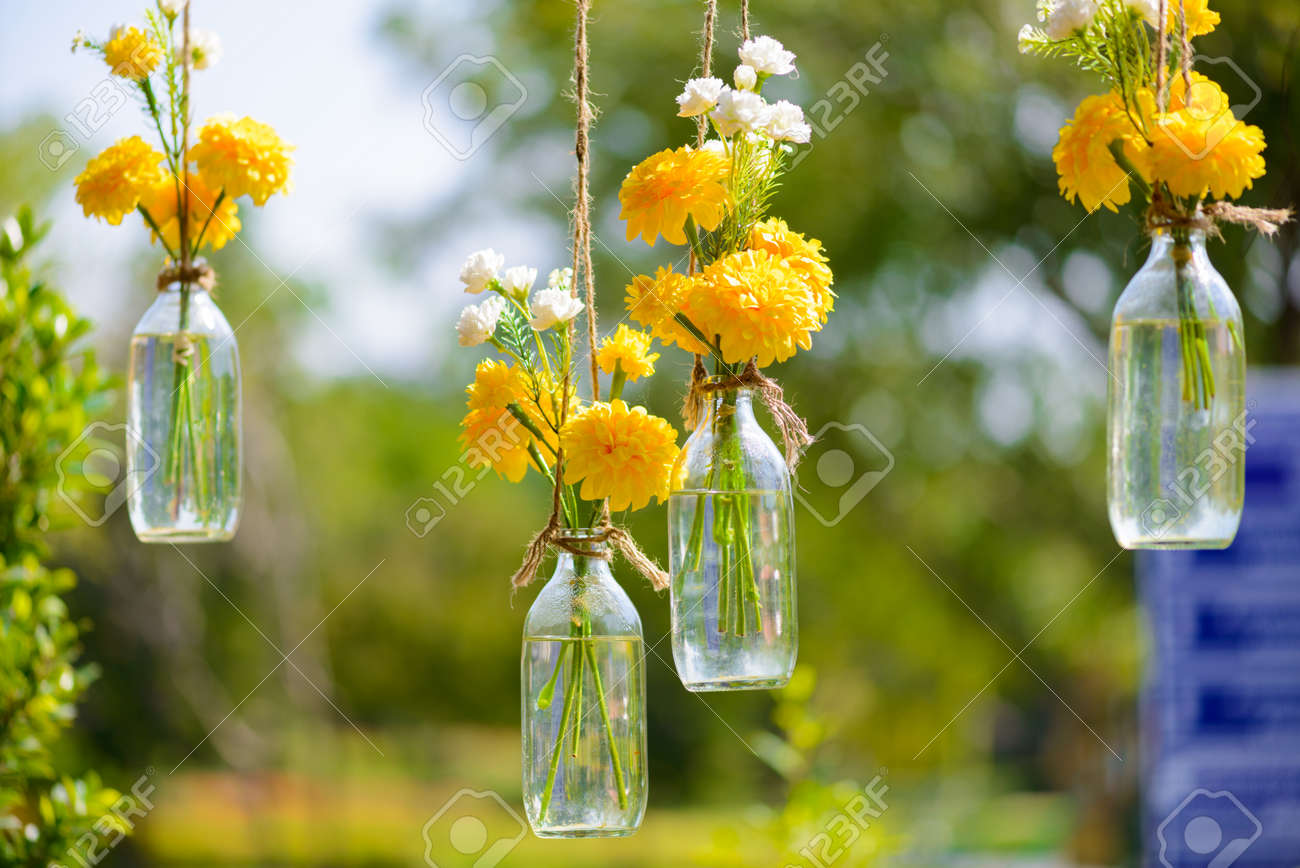 the marigold flowers in