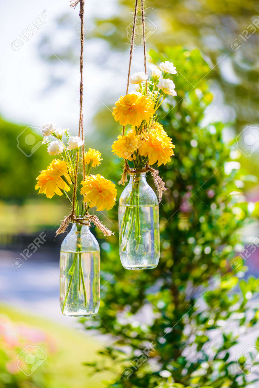 the marigold flowers in