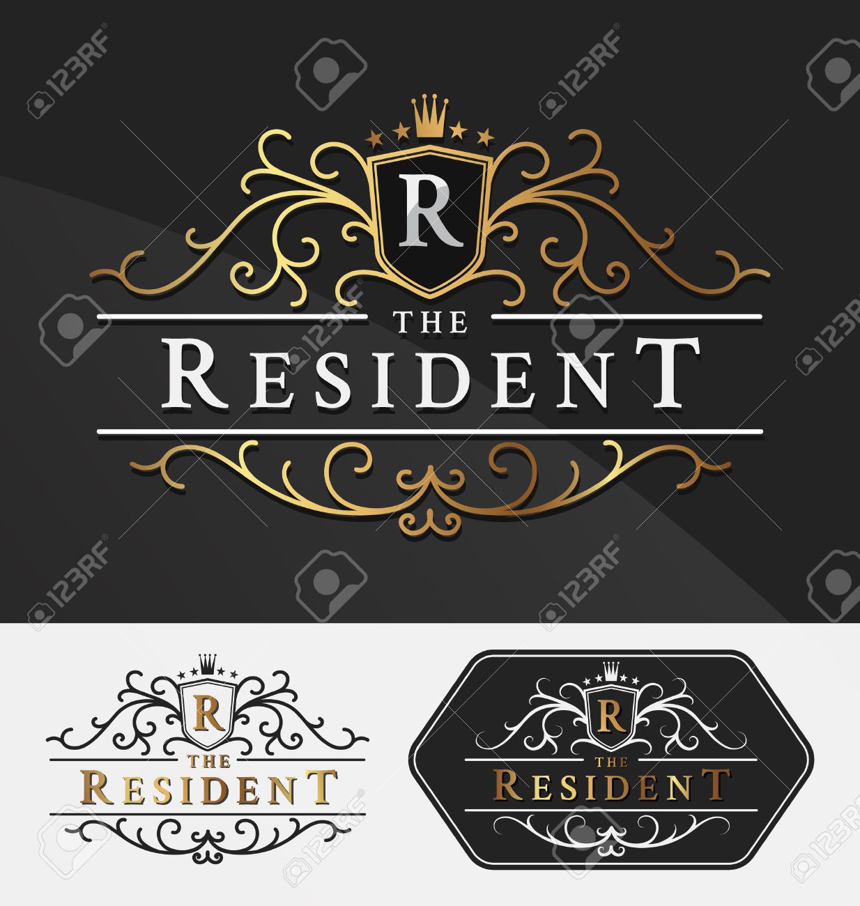 Luxurious Royal Logo Vector Re-sizable Design Template Suitable For Businesses and Product Names, Luxury industry like hotel, wedding, restaurant, jewelry and real estate. - 46969349 Luxurious Royal Logo Vector Re-sizable Design Template Suitable For Businesses and Product Names, Luxury industry like hotel, wedding, restaurant, jewelry and real estate. - 46969349