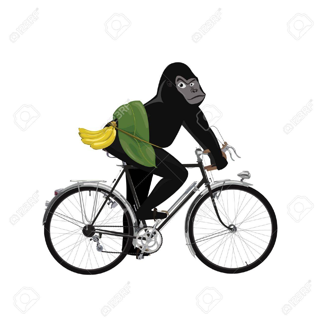 ゴリラが家出 自転車