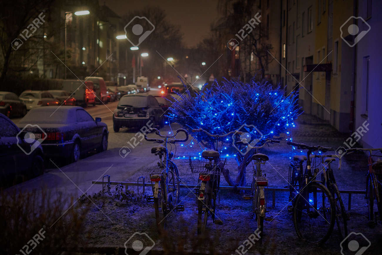 decorated bushes outdoor with christmas lights stock photo picture