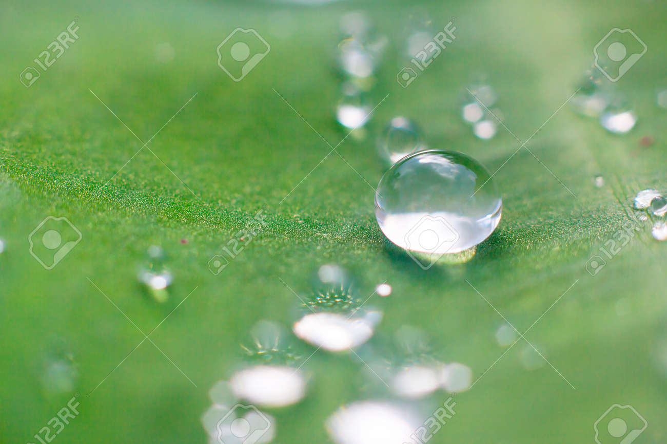 Become a drop of dew in front of the Sun Become a drop of dew in front of the Sun