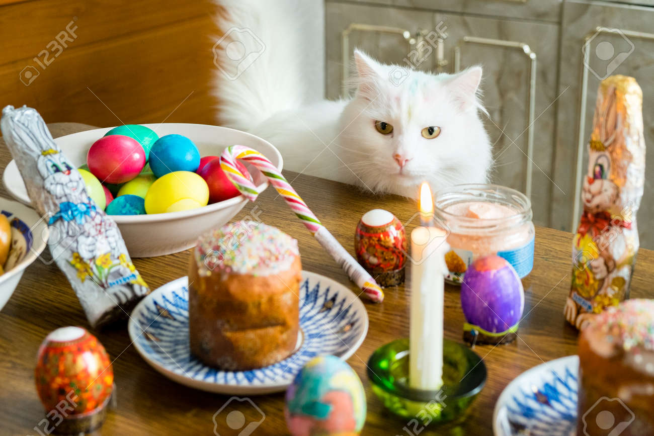 Chat Blanc A La Recherche D Oeufs De Paques De Lapin En Chocolat Et De Gateaux Sur Une Table Avec Une Bougie Banque D Images Et Photos Libres De Droits Image