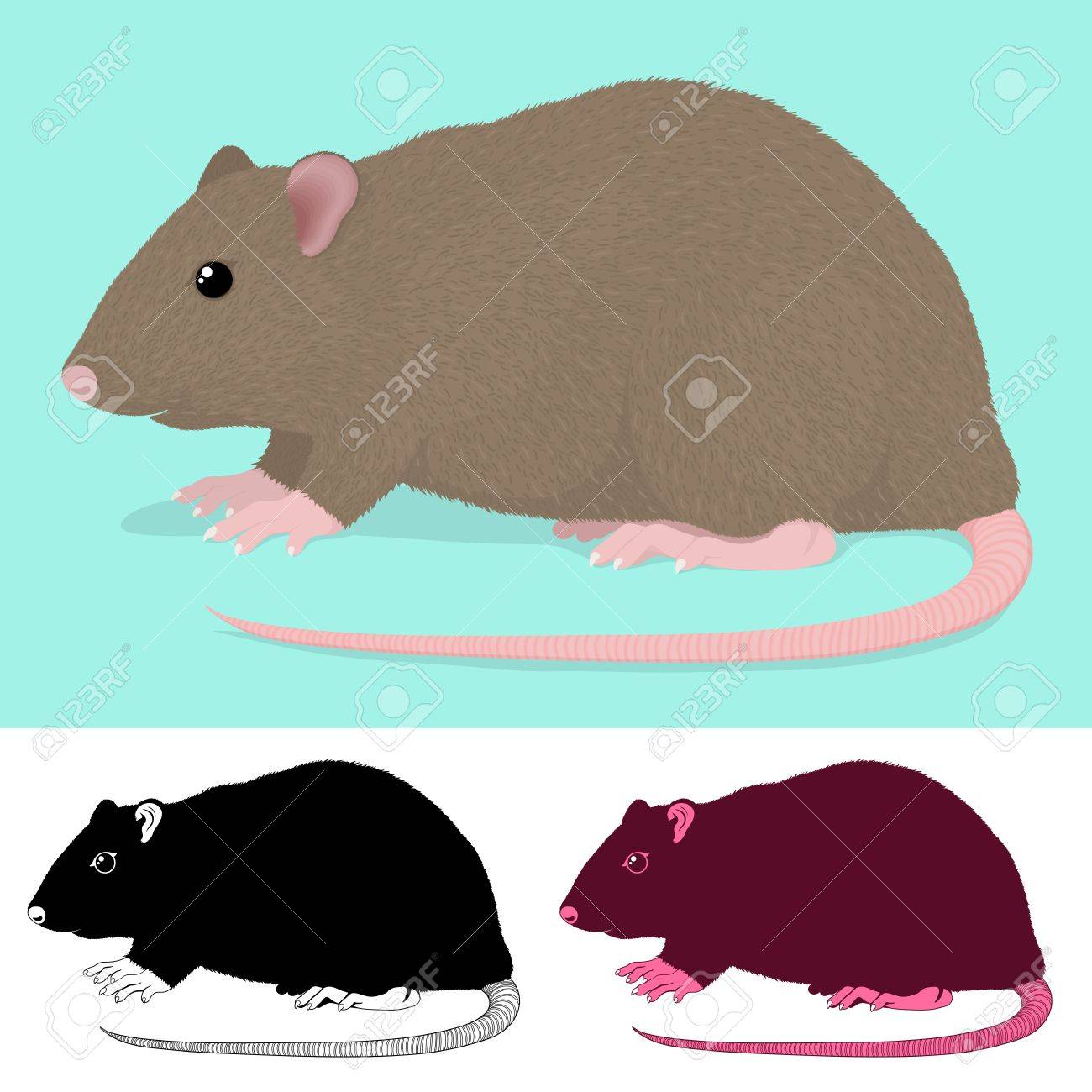 漫画ラット齧歯動物緑と白の上で分離されて 3 つのカラー バリエーションのイラスト素材 ベクタ Image 漫画ラット齧歯動物緑と白の上で分離されて 3 つのカラー バリエーションのイラスト素材 ベクタ Image