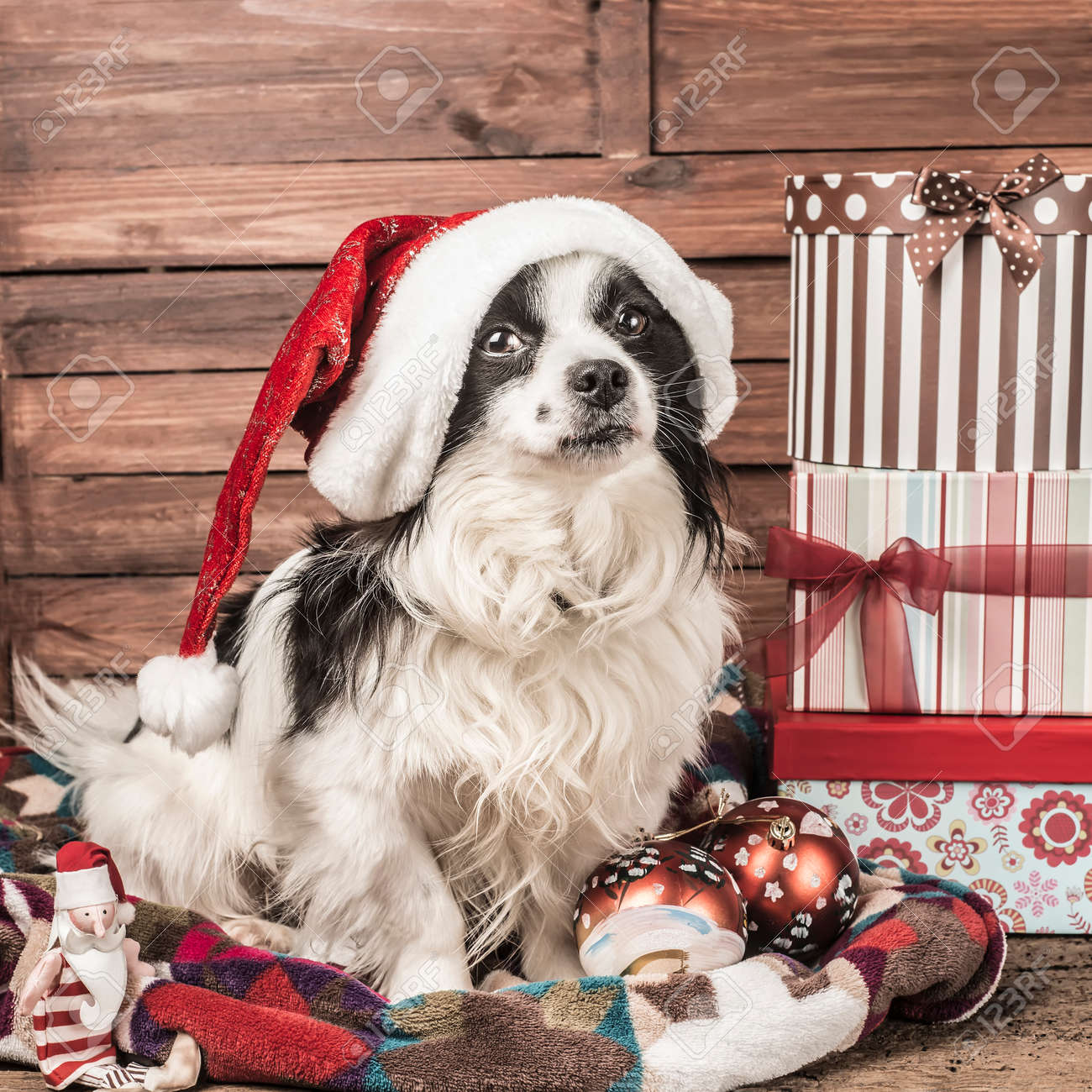クリスマス ポストカード犬帽子サンタ クロースの人形 ギフト ボックス の写真素材 画像素材 Image クリスマス ポストカード犬帽子サンタ クロースの人形 ギフト ボックス の写真素材 画像素材 Image