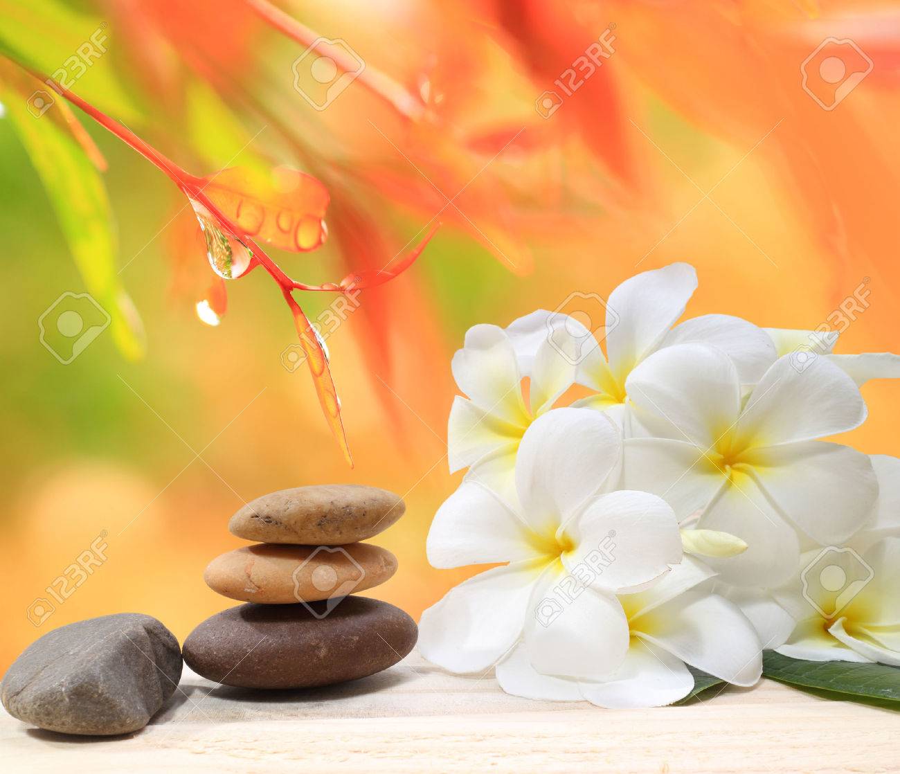 Zen spa concept background - Zen massage stones with frangipani plumeria flower and Water drops on the nature background - 48959385 Zen spa concept background - Zen massage stones with frangipani plumeria flower and Water drops on the nature background - 48959385