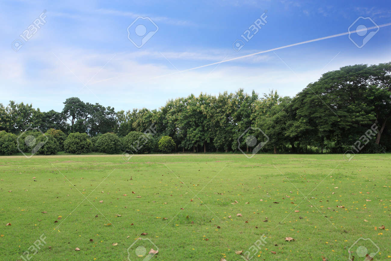 landscape of grass field and green environment public park use as natural background,backdrop - 64122145 landscape of grass field and green environment public park use as natural background,backdrop - 64122145