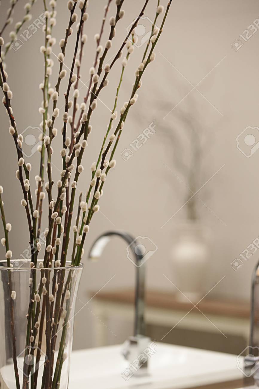 Some Pussy Willow In Vase Put In A Bathroom Stock Photo Picture