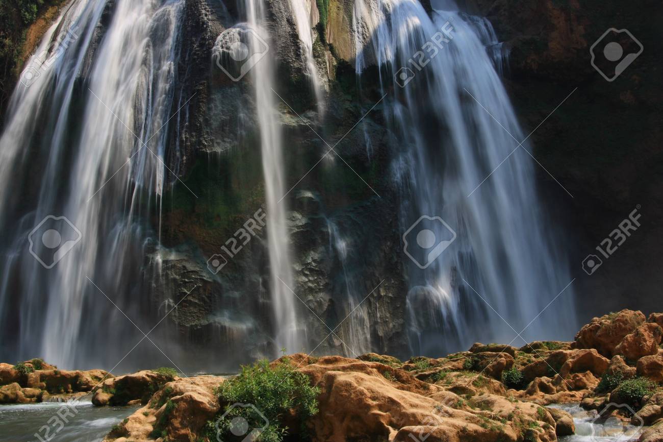 etiam-dictum-ipsum-a-felis