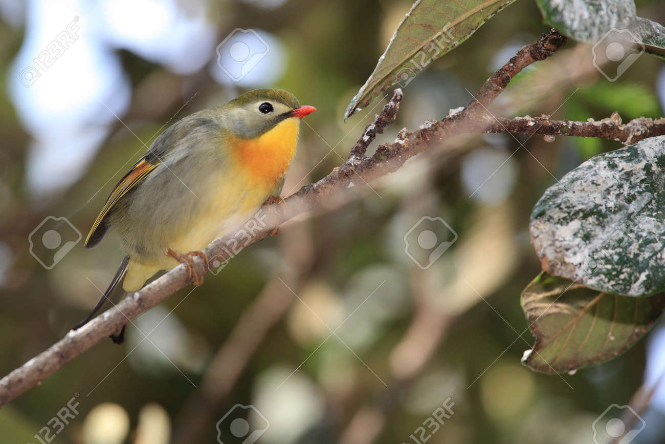 etiam-dictum-ipsum-a-felis