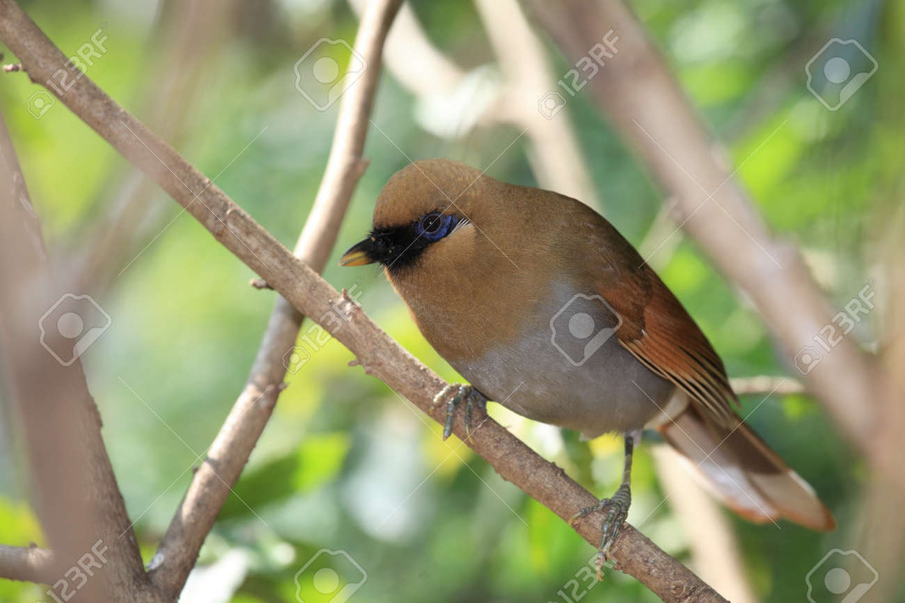 etiam-dictum-ipsum-a-felis