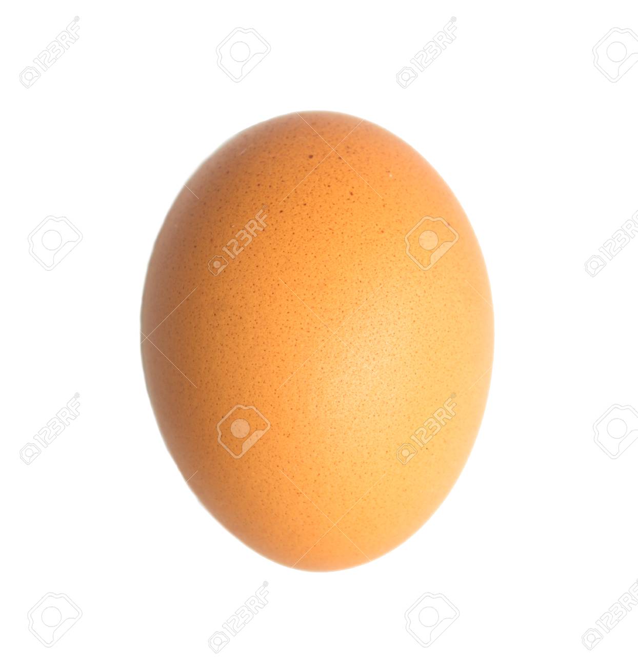 Einzel Braune Henne Ei Isoliert Auf Weissem Lizenzfreie Fotos Bilder Und Stock Fotografie Image 27952401