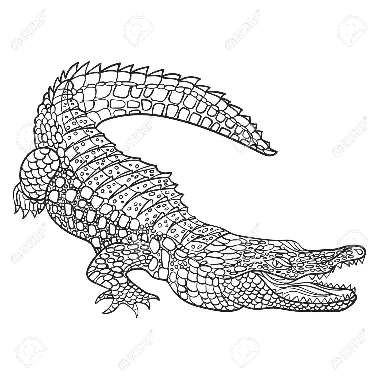 Download Vector Monochrome Hand Drawn Illustration Of Crocodile Coloring Royalty Free Cliparts Vectors And Stock Illustration Image 59591458