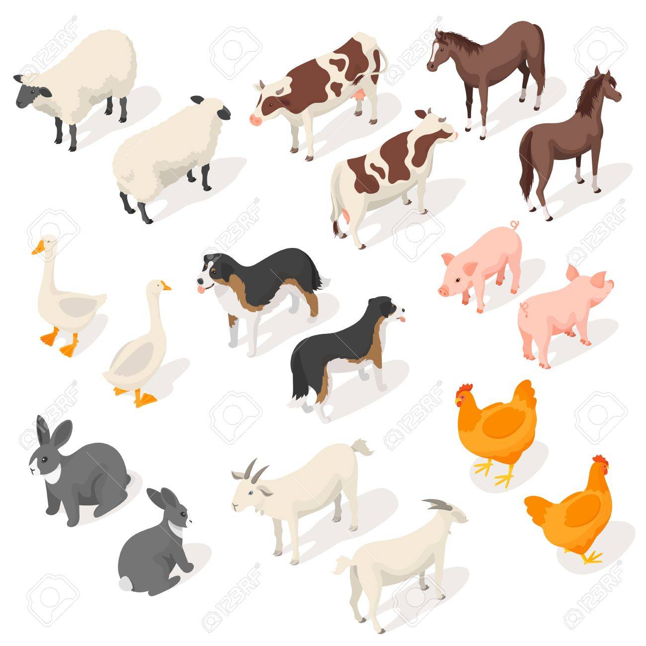 Isometric 3d vector set of farm animals. Back and Front view. Icon for web. Isolated on white background. - 68321928 Isometric 3d vector set of farm animals. Back and Front view. Icon for web. Isolated on white background. - 68321928