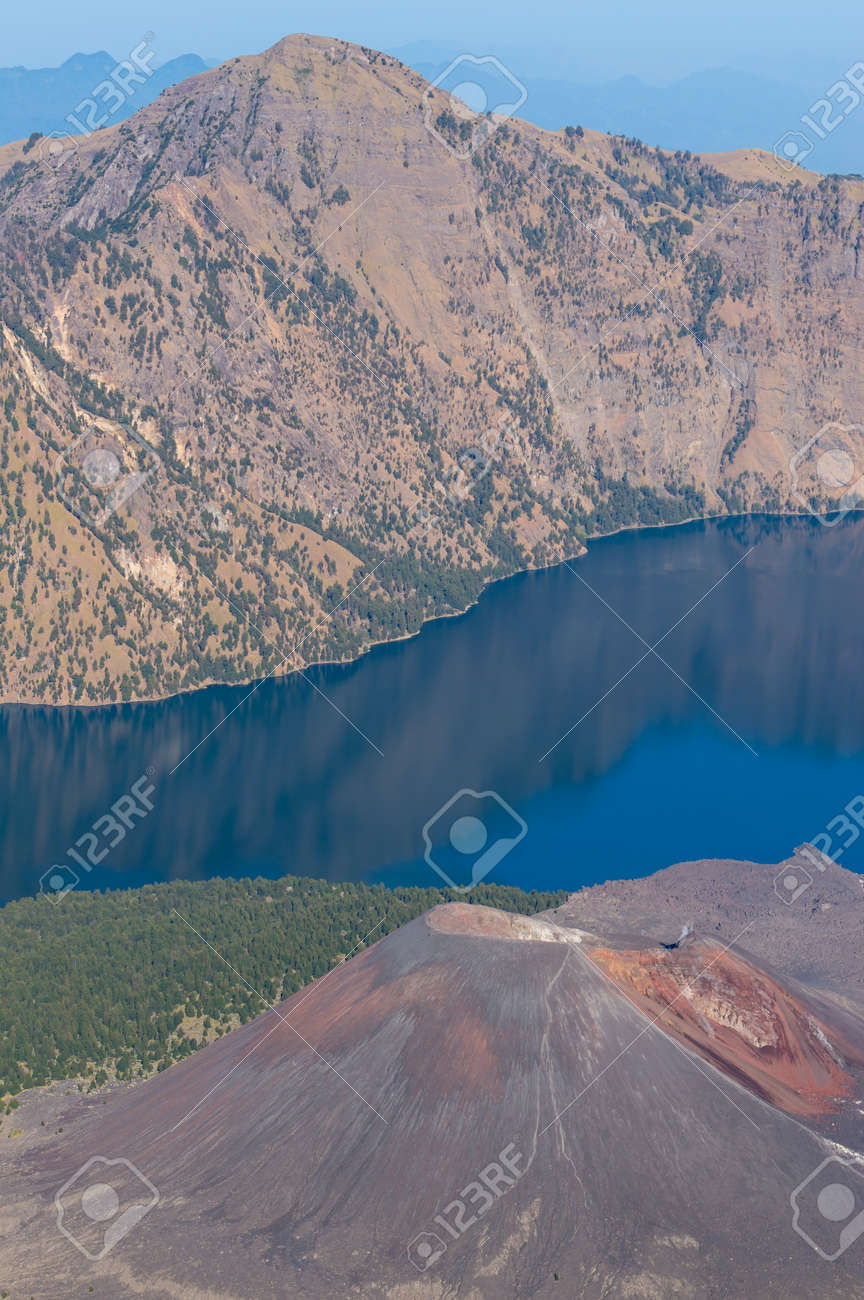 etiam-dictum-ipsum-a-felis