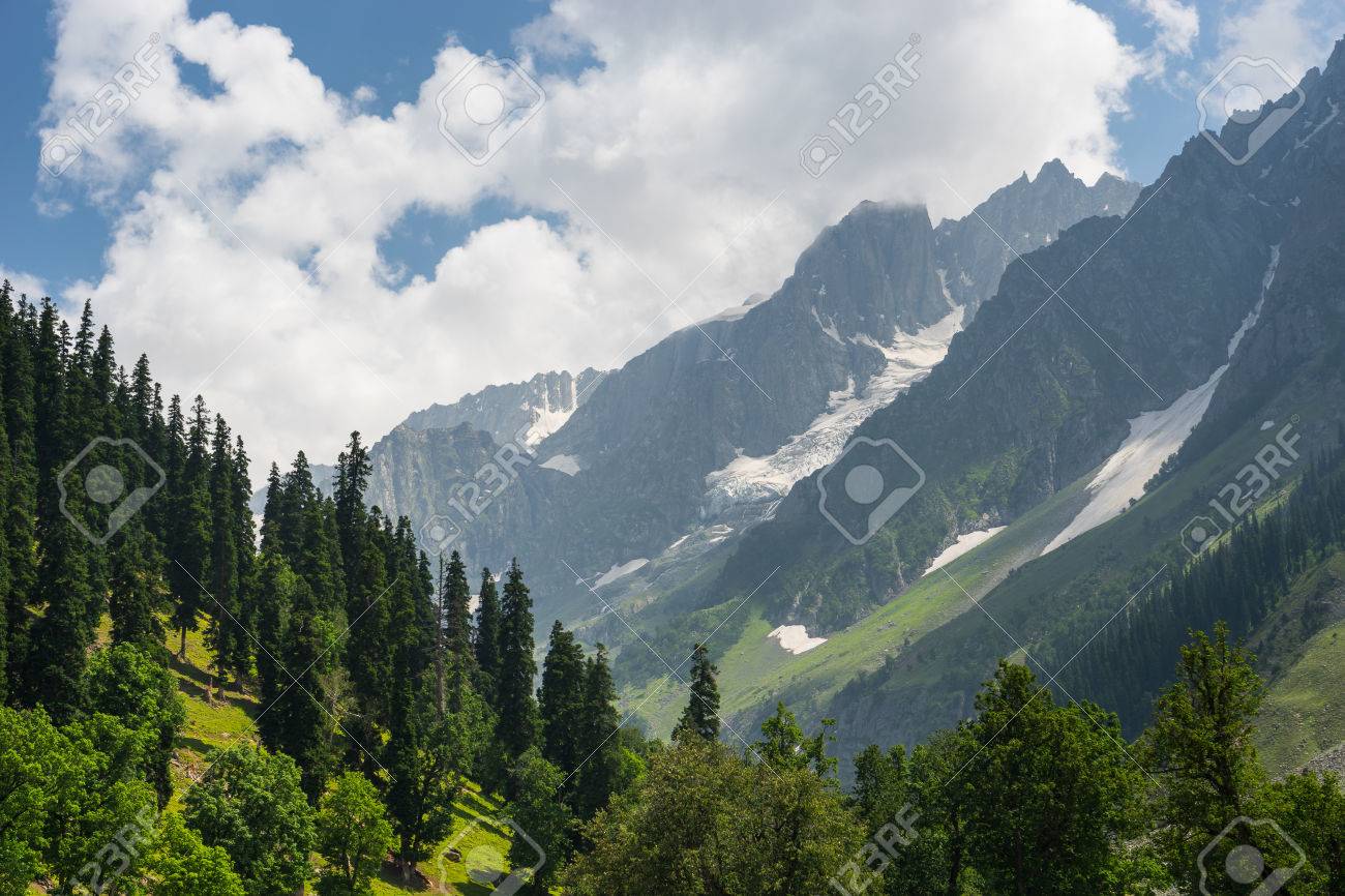 9,604 Dal Lake Srinagar Jammu Kashmir India Stock Photos, High-Res  Pictures, and Images - Getty Images