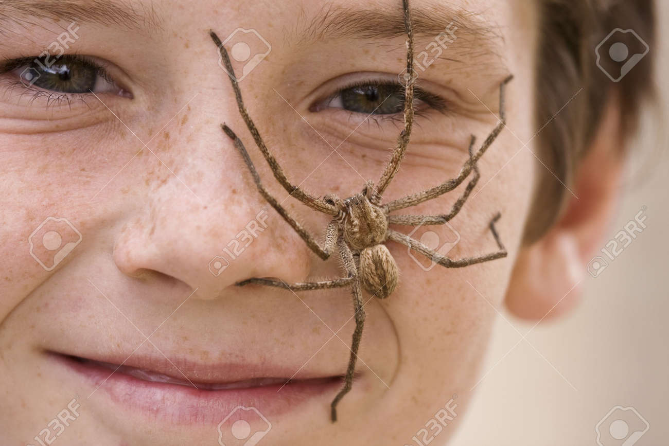 彼の顔全体をクロール大規模な毛深い雨蜘蛛の少年 の写真素材 画像素材 Image
