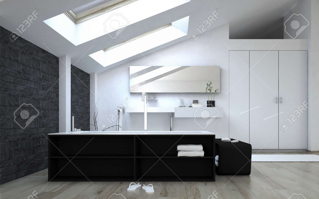 Renovation Salle De Bain Gex ~ int rieur du noir et blanc salle de bains moderne avec sunny puits Renovation Salle De Bain Gex ~ int rieur du noir et blanc salle de bains moderne avec sunny puits