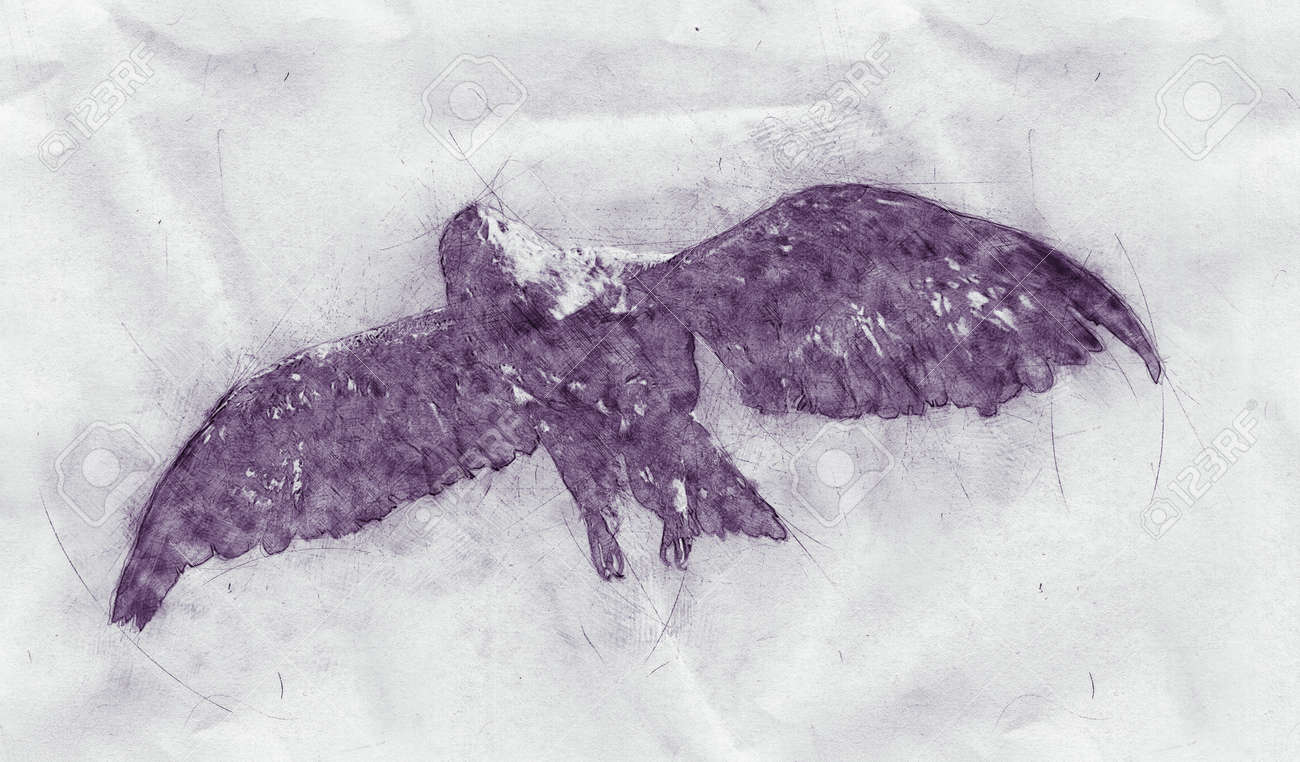 Pencil sketch of a flying eagle on textured crumpled grungy paper viewed close up from below