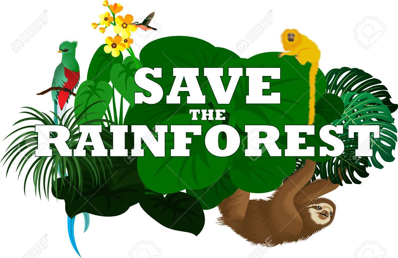 Плакат спасти тропические леса. Постер на тему "save the rainforests". Save the forest. Плакат спасите тропические леса на английском. Постер save the rainforests.