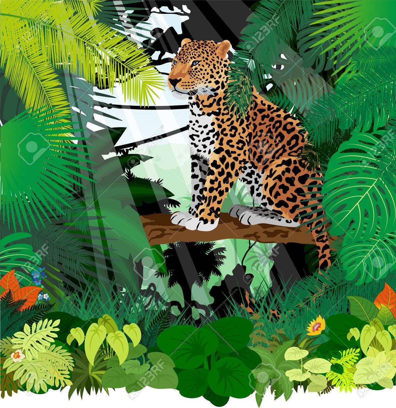 ジャガー、ヒョウ ジャングルの熱帯雨林 のイラスト素材・ベクタ ...
