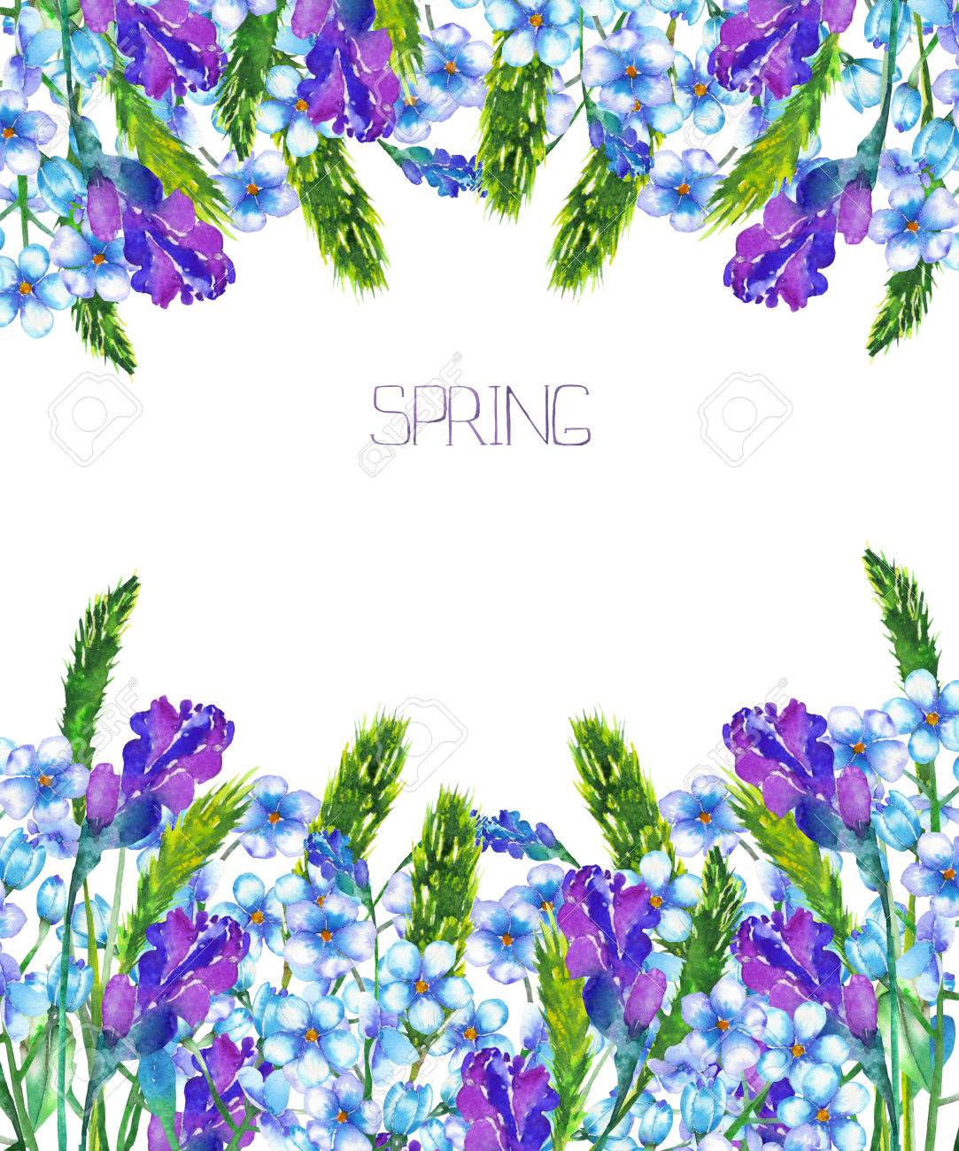 Frame Border Template For Postcard With The Blue Forget Me Not Stock Photo Picture And Royalty Free Image Image