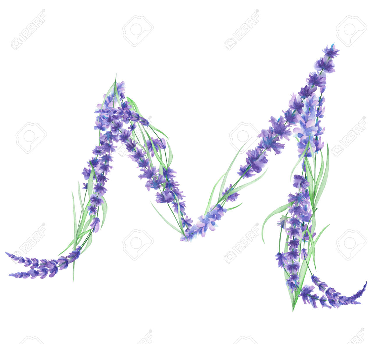 水彩ラベンダー花の大文字 M 分離ホワイト バック グラウンド ウェディング デザイン お祭りのための英語のアルファベットと結婚式の装飾 カードに描かれた手 の写真素材 画像素材 Image 水彩ラベンダー花の大文字 M 分離ホワイト バック グラウンド ウェディング デザイン お祭りのための英語のアルファベットと結婚式の装飾 カードに描かれた手 の写真素材 画像素材 Image