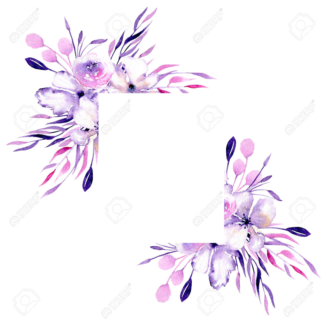 Borda De Canto Quadro Com Aquarela Rosas Roxas Flores De Rododendro E Ramos Mao Desenhada Sobre Um Fundo Branco Para Casamento Aniversario E Outros Cartoes Fotos Retratos Imagenes Y Fotografia De Archivo