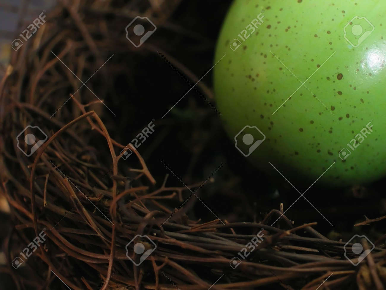 Macro Image Dun Uf Vert Mouchetée Dans Un Nid Doiseau Brun Tissés