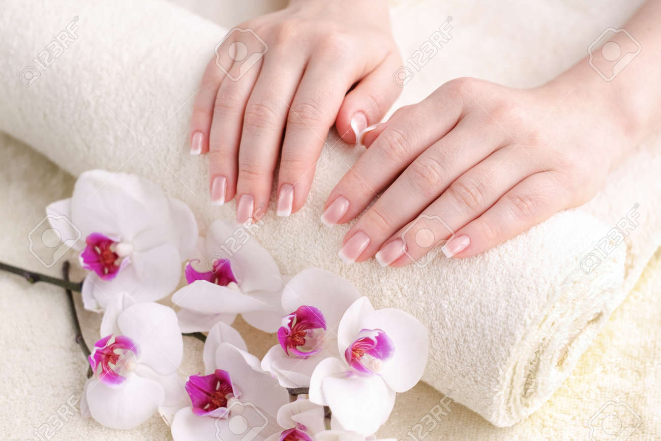 Nails with french manicure. Beautiful female hands with an orchid. Well-groomed skin and nails. Beauty and health concept - 139083813 Nails with french manicure. Beautiful female hands with an orchid. Well-groomed skin and nails. Beauty and health concept - 139083813