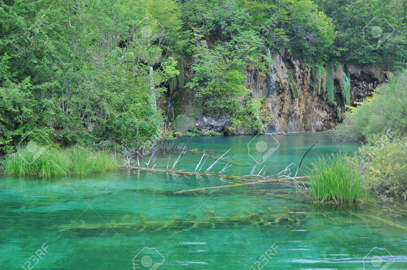 プリトビチェ湖群 クロアチア プリトビチェ湖群 プリトヴィッツェ湖群の滝 の写真素材 画像素材 Image 5690 プリトビチェ湖群 クロアチア プリトビチェ湖群 プリトヴィッツェ湖群の滝 の写真素材 画像素材 Image 5690