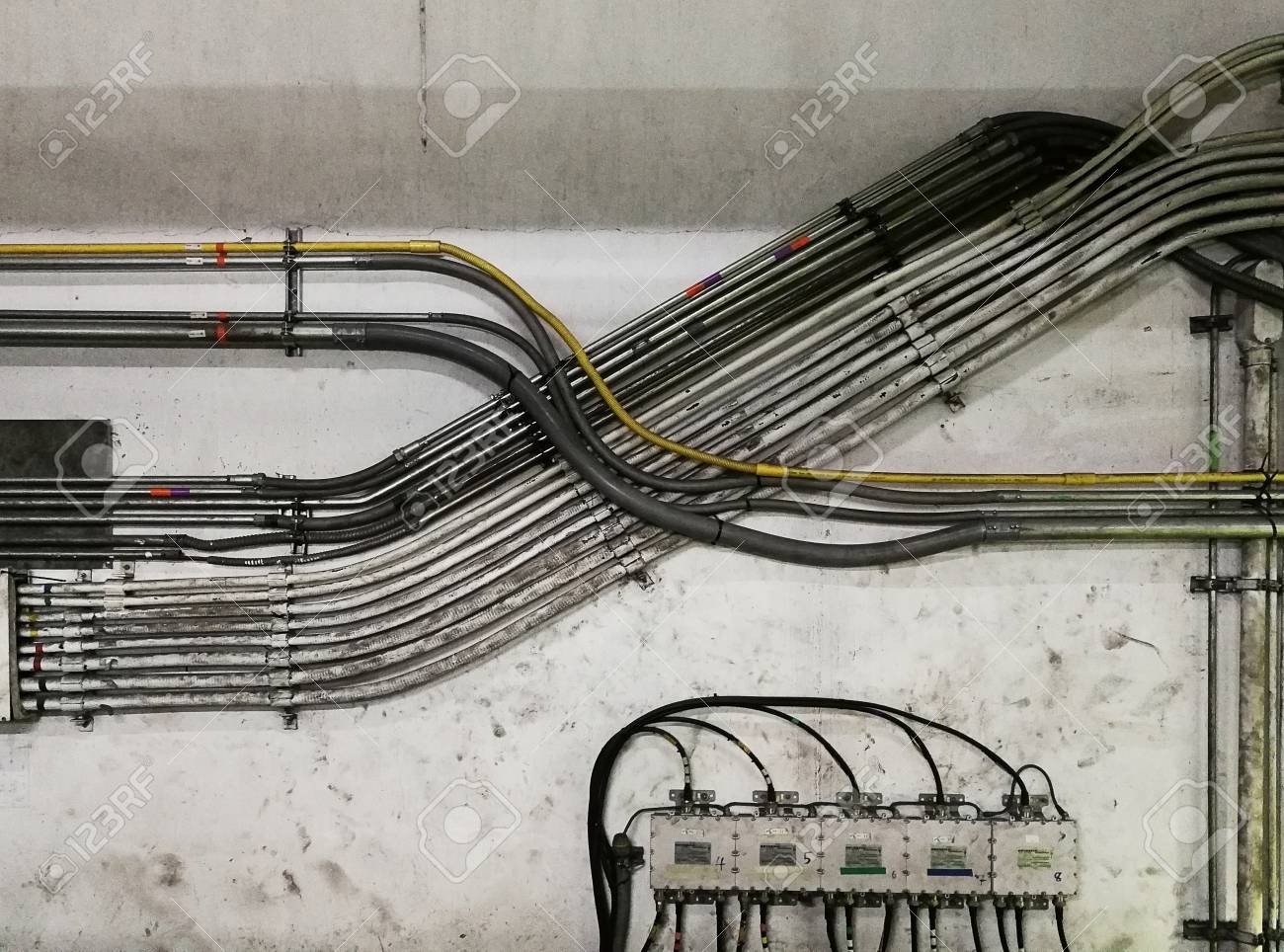 etiam-dictum-ipsum-a-felis