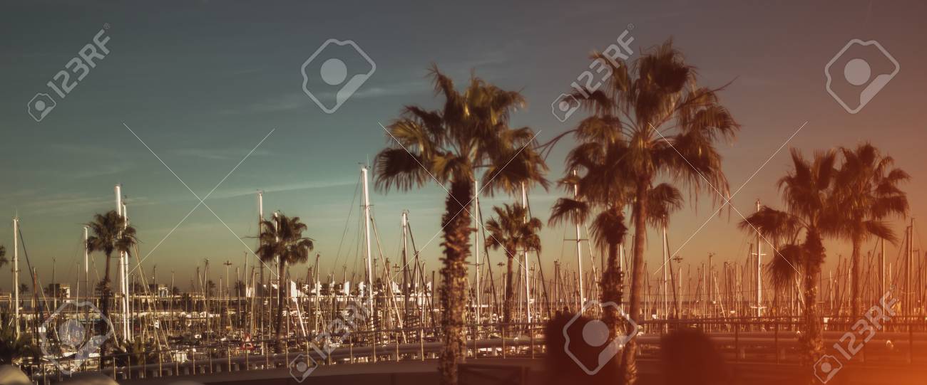Vista Del Porto Con Più Yacht Vicino Alla Spiaggia Un Sacco Di Alberi Palme Bagliori Barcellona Spagna Colore Vintage