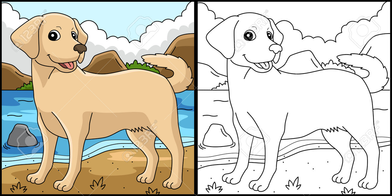 ラブラドールレトリバー犬 ぬりえのイラストのイラスト素材