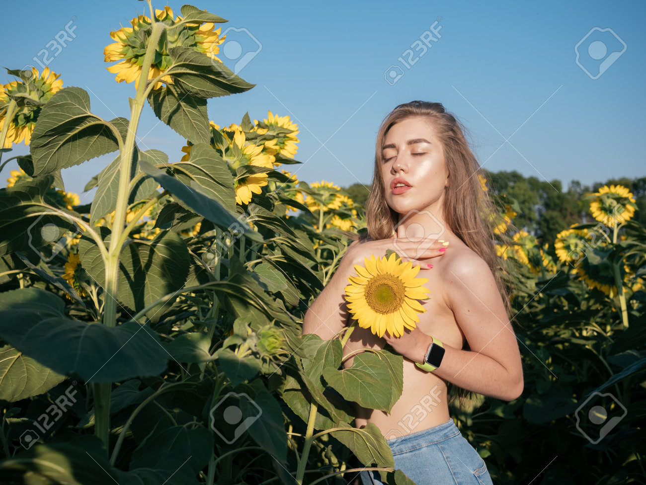 nudist sunflower 