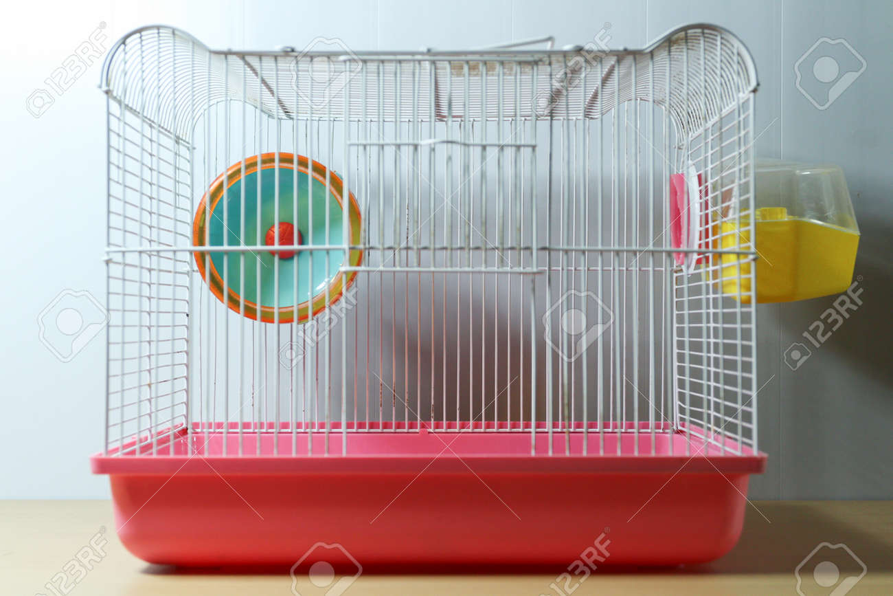 hamster cage white