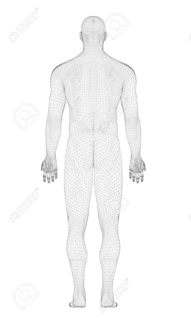 3dの男性のモデル 多角形の男は手を下ろしてポーズをとっている 人間の構造 ベクターの図 背面ビュー のイラスト素材 ベクタ Image 3dの男性のモデル 多角形の男は手を下ろしてポーズをとっている 人間の構造 ベクターの図 背面ビュー のイラスト素材 ベクタ Image