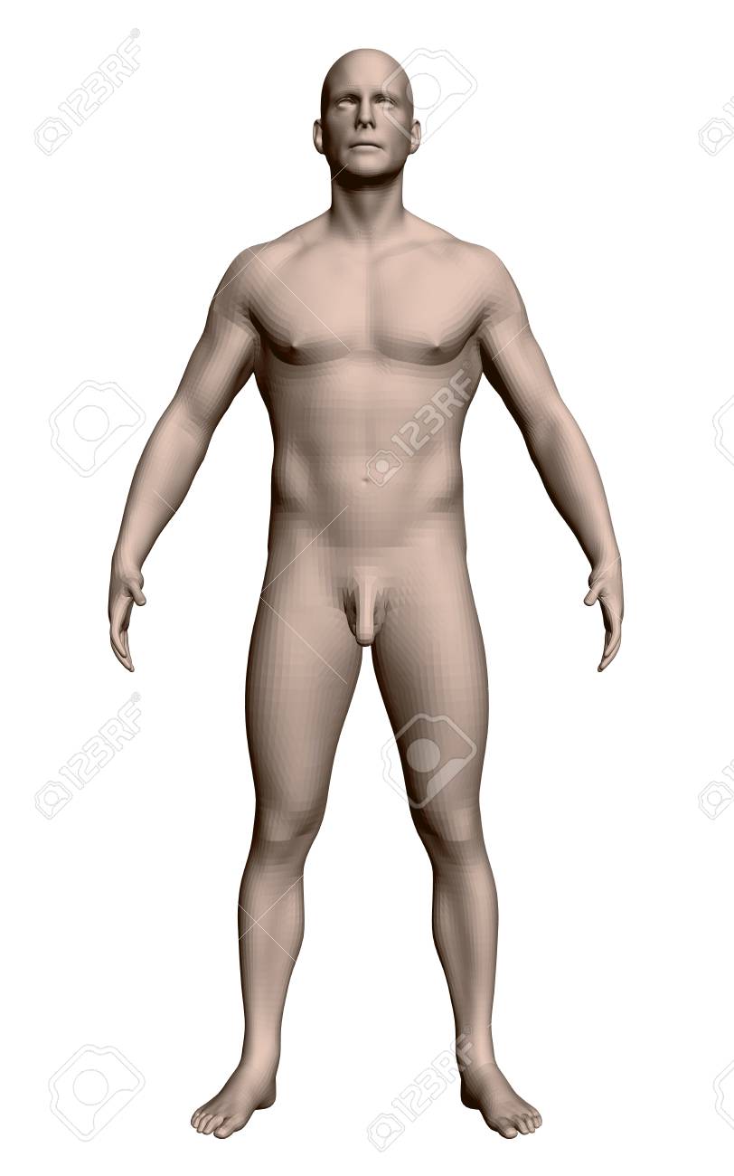 はだか　正面 リアルな男のベクトルイラスト。裸の男は腕と足を広げてポーズをとっている。生理学的に発達した人間の構造。3D. 正面図。のイラスト素材・ベクター  Image 97696908