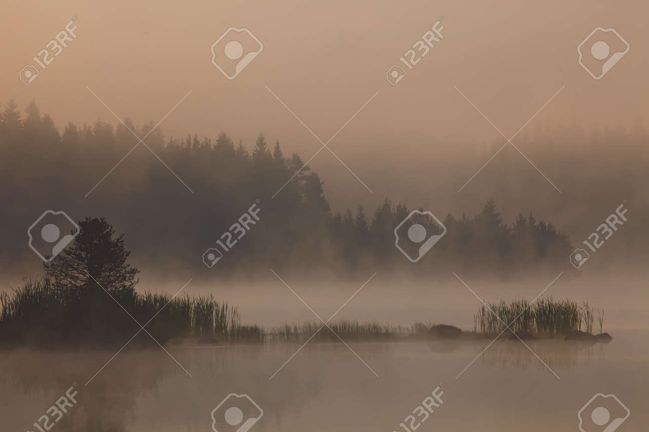セピア色の抽象的な自然風景の朝の霧の湖の写真素材・画像素材 Image