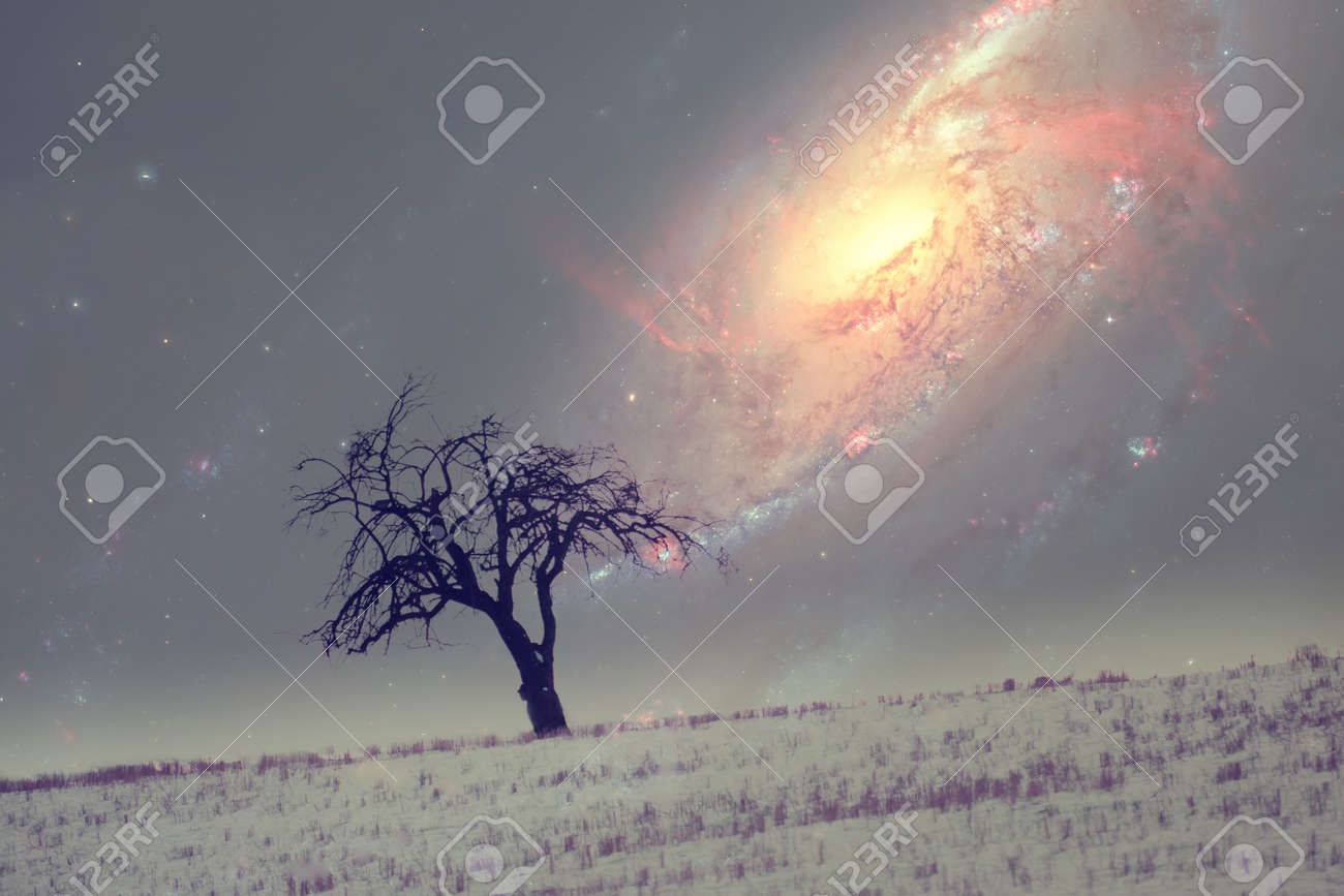 Paisagem De Ceu Nocturno Alienigena Com Arvore Sozinho Sobre A Galaxia Com Muitas Estrelas Elementos Desta Imagem Sao Fornecidos Pela Nasa Fotos Retratos Imagenes Y Fotografia De Archivo Libres De Derecho