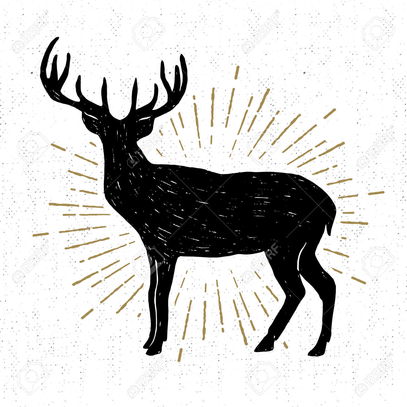 Hand drawn vintage icon with a textured deer vector illustration. - 55803248 Hand drawn vintage icon with a textured deer vector illustration. - 55803248