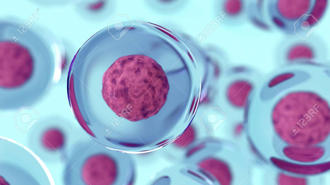 Abstract 3d cells of human or animal. Science concept - 106890438 Abstract 3d cells of human or animal. Science concept - 106890438