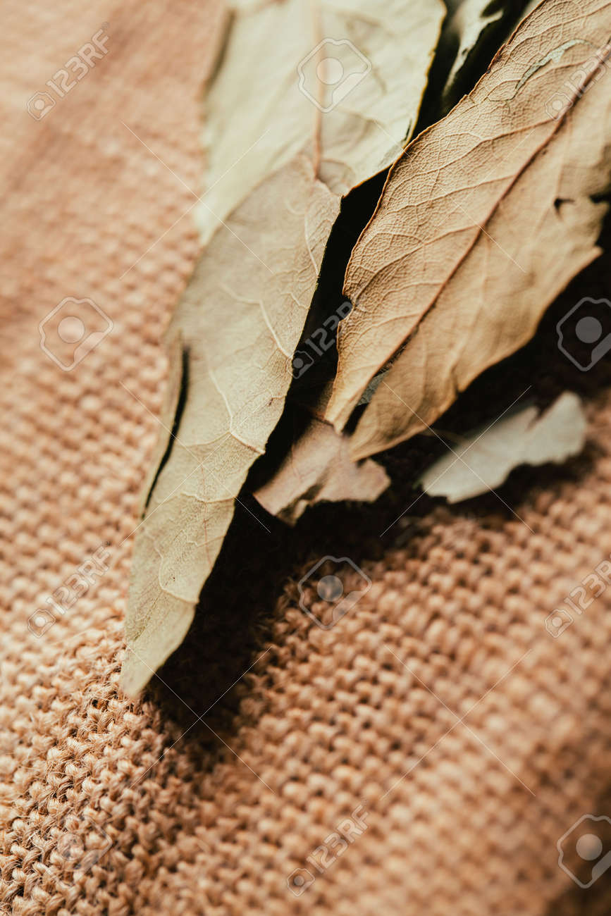 解任光布のいくつかの月桂樹の葉 の写真素材 画像素材 Image