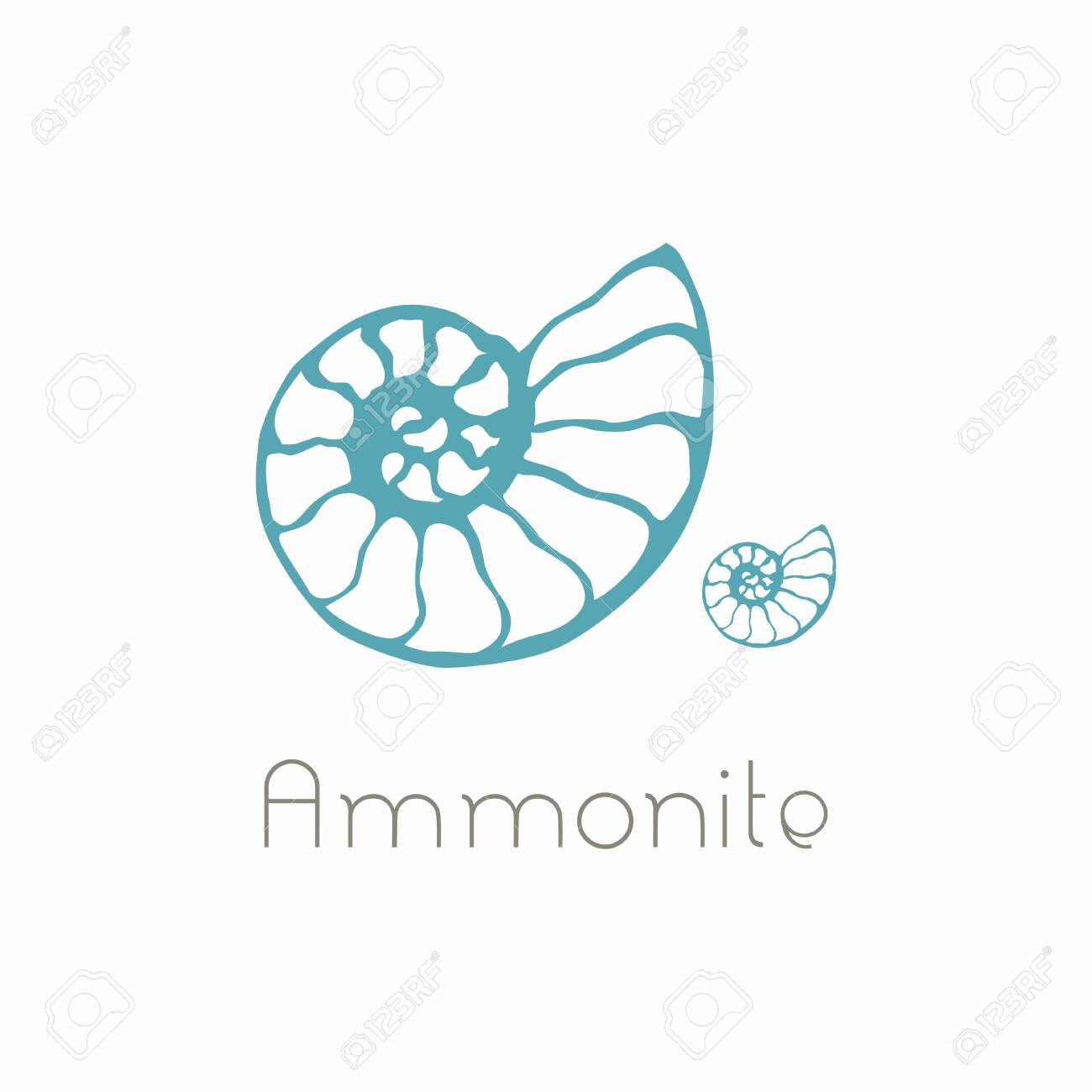 Fossil Ammonite Nautilus Seashell Icon Hand Drawn Illustration Royalty Free Cliparts Vectors And Stock Illustration Image