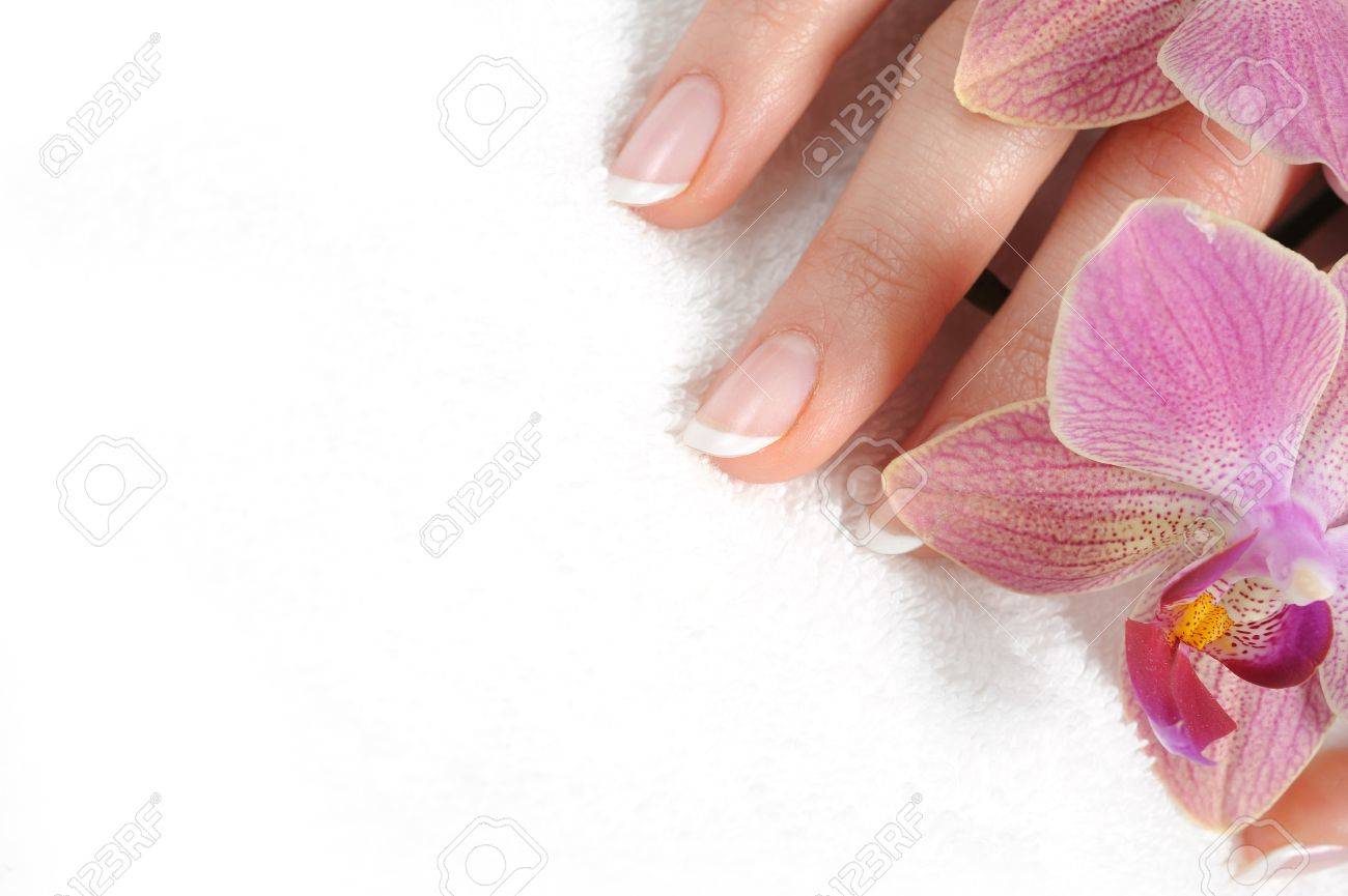 Beautiful hand with perfect nail french manicure and purple orchid flowers. isolated on white background - 8737739 Beautiful hand with perfect nail french manicure and purple orchid flowers. isolated on white background - 8737739