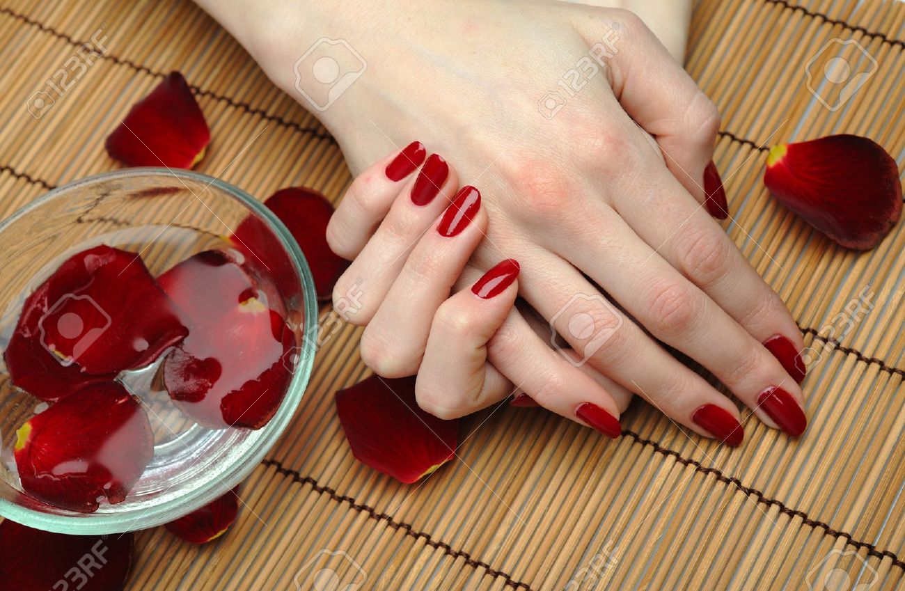 Beautiful hand with perfect nail red manicure and rose petals. - 9277065 Beautiful hand with perfect nail red manicure and rose petals. - 9277065