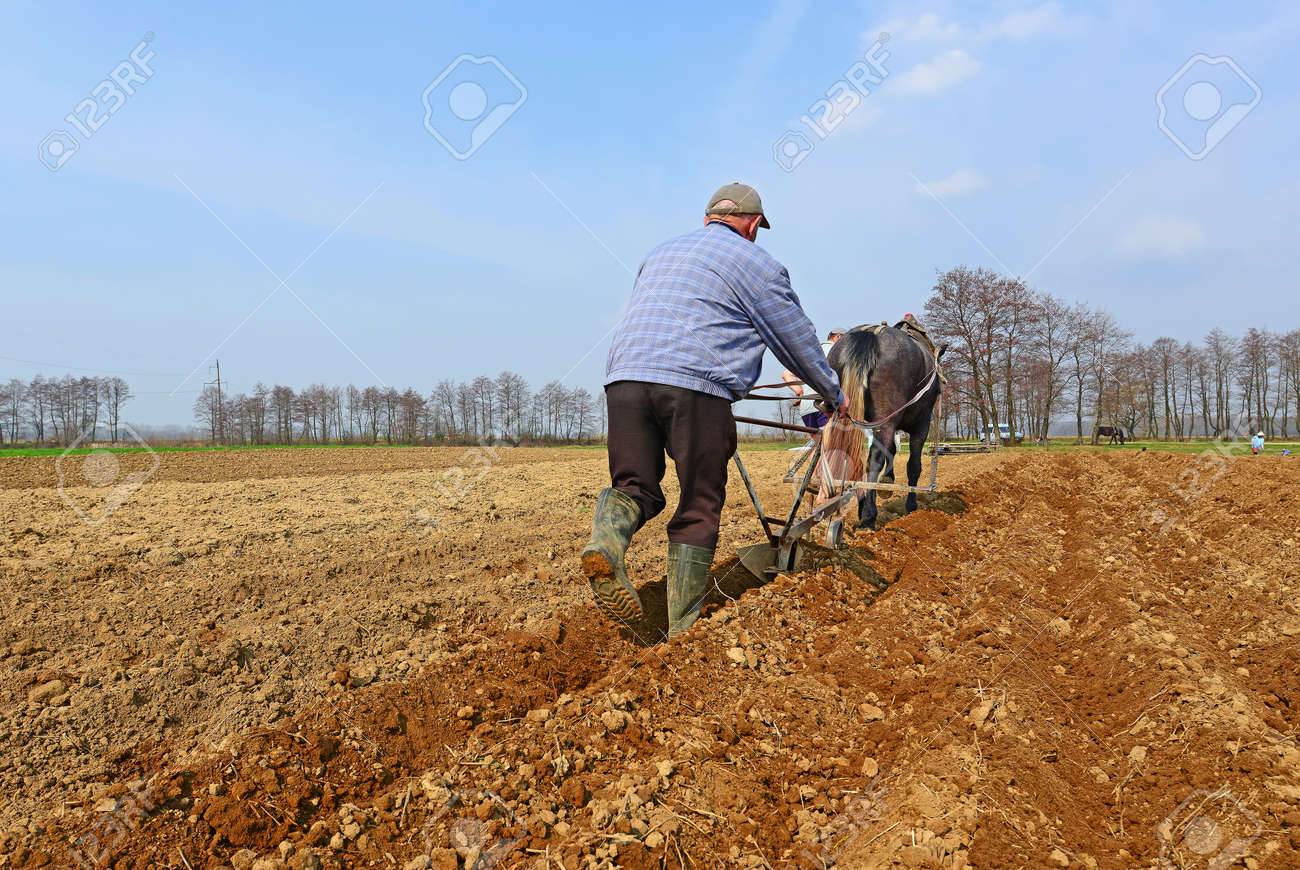 Fallowing of a spring field by a manual plow on horse-drawn Stock Photo -